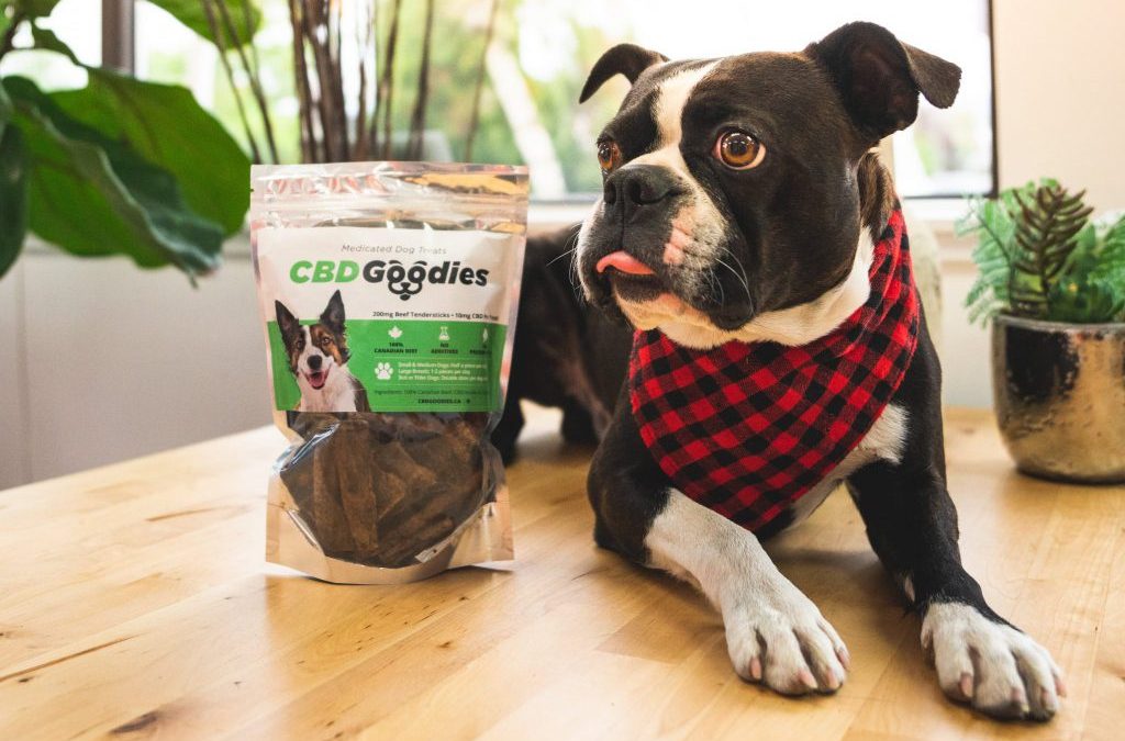 Online Dispensary Canada The Healing Co - CBD For Pets