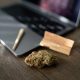 Online Dispensary Canada The Healing Co - How To Store Your Cannabis
