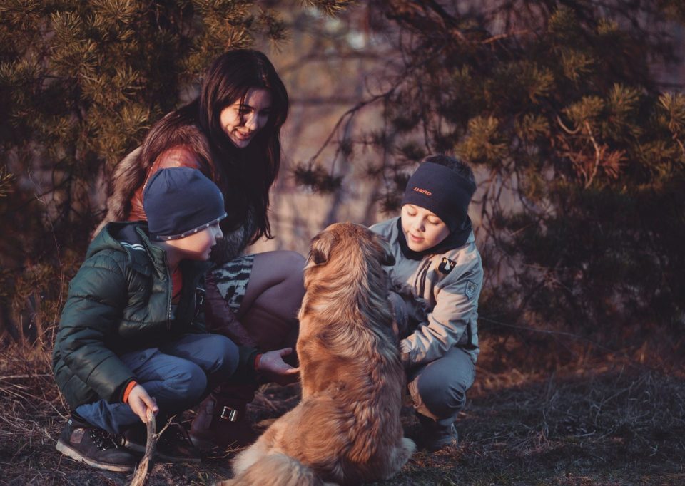 Online Dispensary Canada The Healing Co - How to Talk to Your Kids About Cannabis