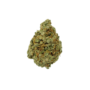 Jack Herer - Sativa - The Healing Co