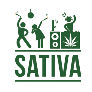 Sativa indulgence pack by The Healing Co