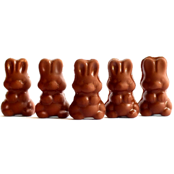 Alice - Mushroom Milk Chocolate - 2.5 Grams 2