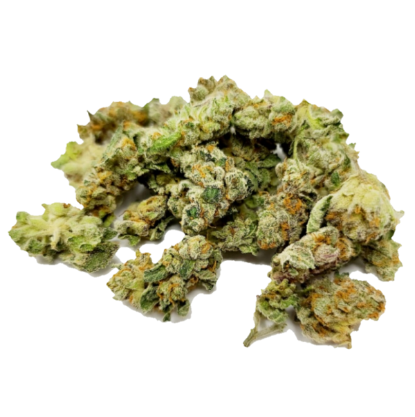 Gummy Bears Premium Smalls - Hybrid - The Healing Co