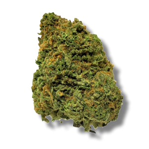 Gorilla Bomb - The Healing Co