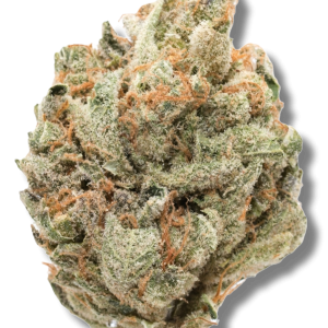 Forbidden Fruit - Indica - The Healing Co Wellness