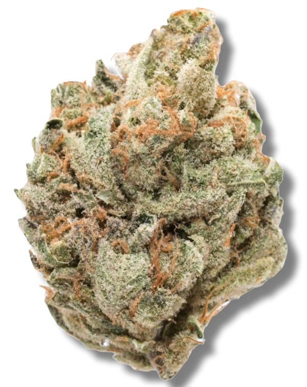 Forbidden Fruit - Indica - The Healing Co Wellness