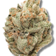 Forbidden Fruit - Indica - The Healing Co Wellness