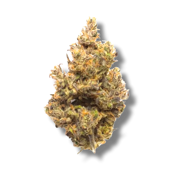 Key Lime Pie - Indica Dominate Hybrid - The Healing Co