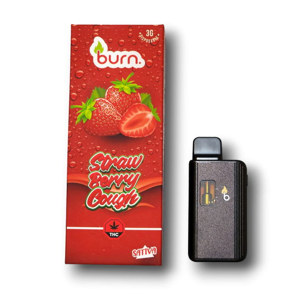 Burn Disposable Vape Pen - 3 GRAMS - Multiple Flavours