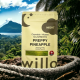 Willo – 200mg THC Preppy Pineapple (Night) Gummies