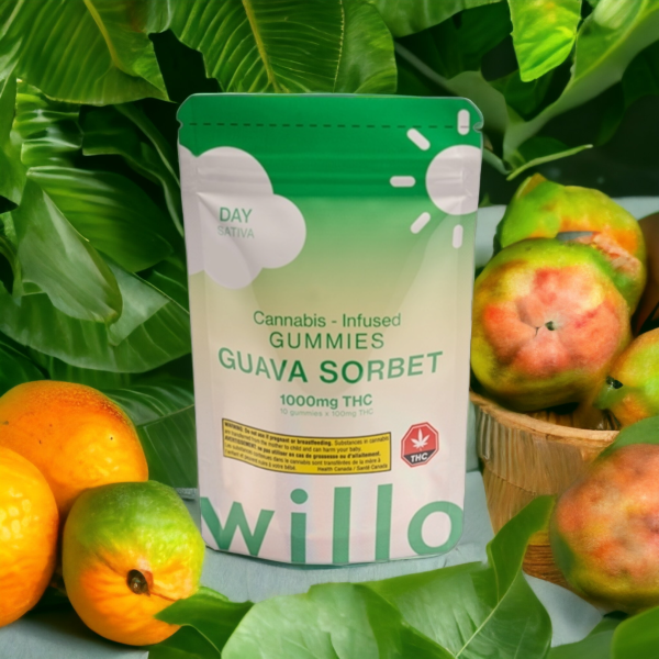 Willo – 1000mg THC Guava Sorbet (Day) Gummies