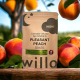 Willo – 200mg THC Pleasant Peach (Night) Gummies