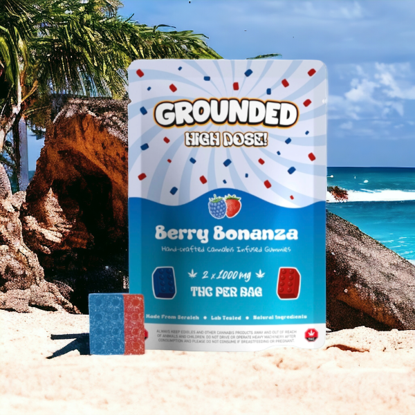 Grounded High Dose Bricks - 2000mg THC